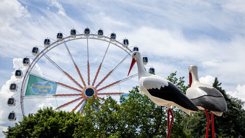 Impression vom Hessentag in Fritzlar