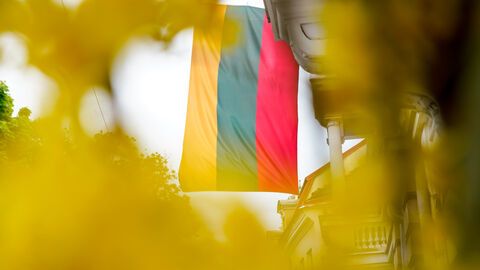 Litauen Flagge Flagge von Litauen